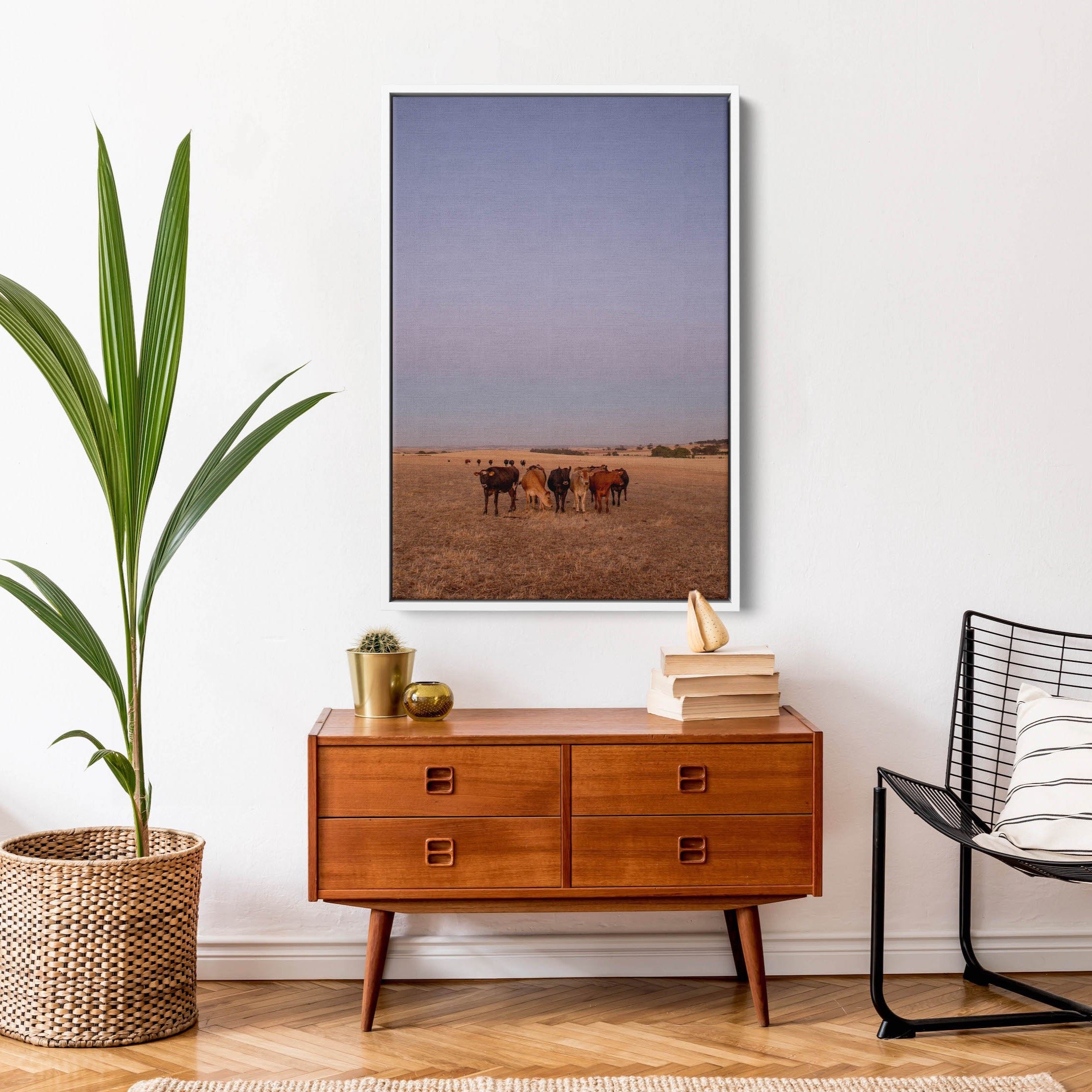 Floater Frame Canvas | Wall Decor Australia | Room Inspiration | Framed Wall Art | Charles Norwood | Barossa Cows Portrait 